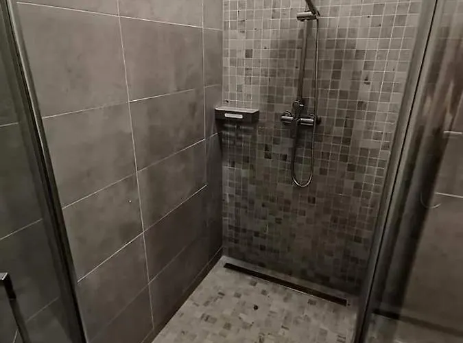 萨勒扎酒店 酒店