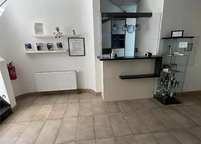 萨勒扎酒店 3* 俄斯特拉发