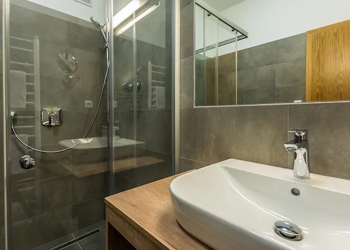 酒店 萨勒扎酒店 俄斯特拉发