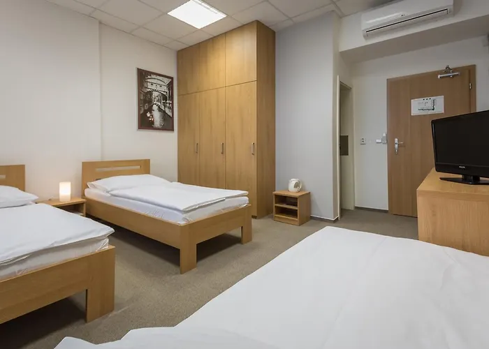 酒店 萨勒扎酒店 3*